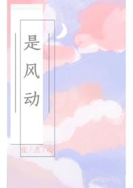 是风动了我的心全集